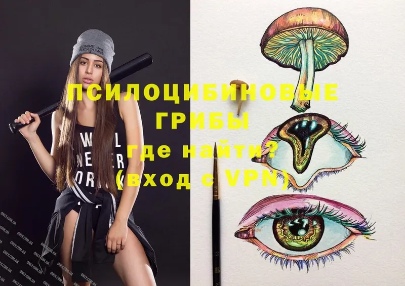 Галлюциногенные грибы Psilocybe  Горячий Ключ 